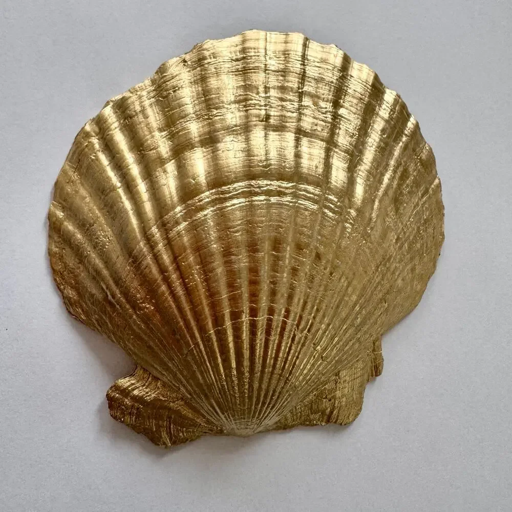 Handmade seashell trinket